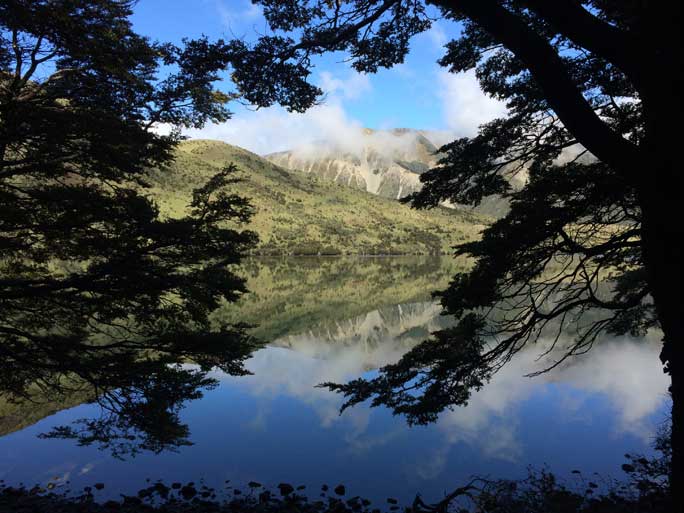 South Island Walking Safari