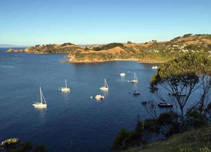 Join us for Te Ara Hura - the new walk around Waiheke Island