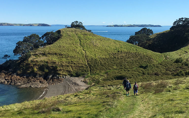 Waiheke walking weather is here! 2 Walking on Waikehe Island with Terra & Tide