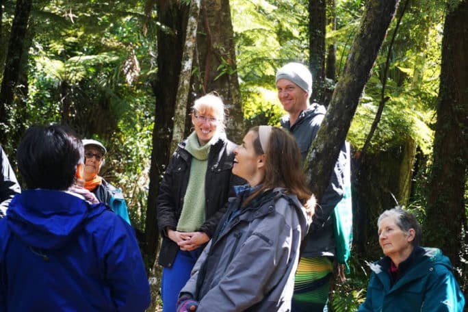 Association of Nature and Forest Therapy Guides and Programs