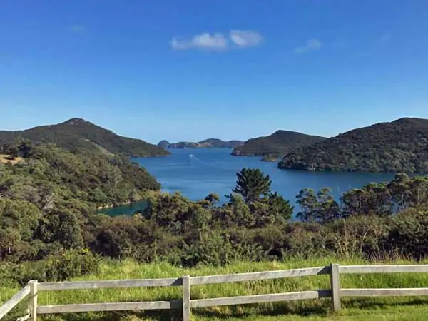 Great Barrier Island Eco Adventure for Women