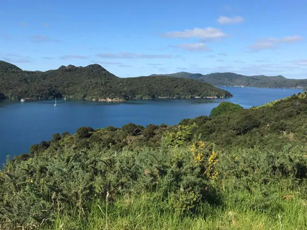 Great Barrier Island Eco Adventure for Women