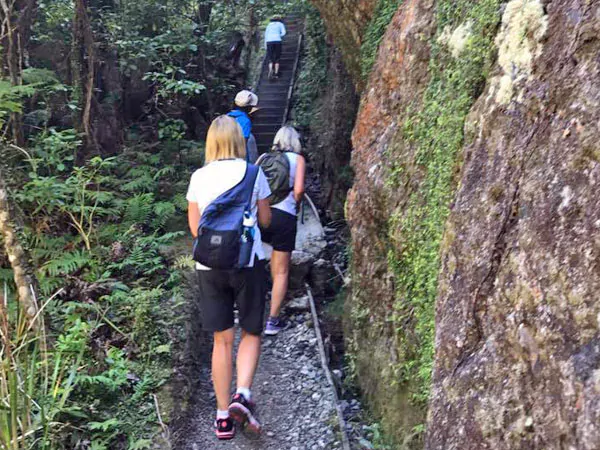 Great Barrier Island Eco Adventure for Women