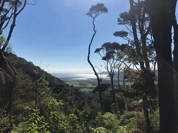 Great Barrier Island Eco Adventure for Women