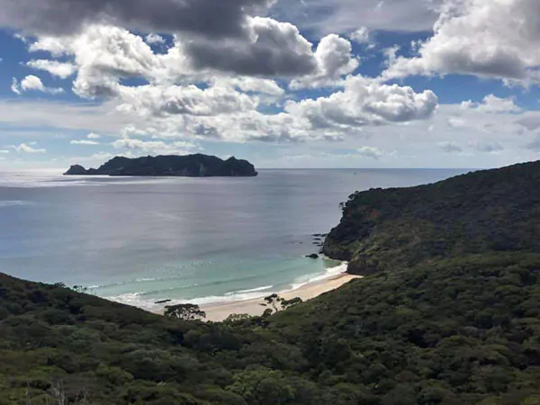 Great Barrier Island Eco Adventure for Women