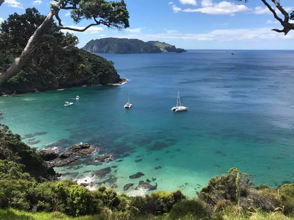 Great Barrier Island Eco Adventure for Women