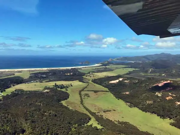 Great Barrier Island Eco Adventure for Women