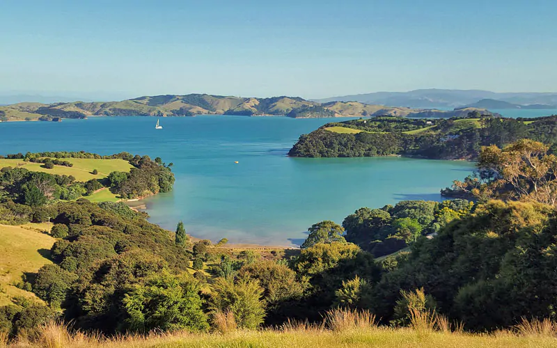 A classic Waiheke Island vista