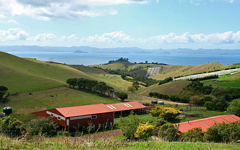 Buildings add a nice contrast in this Waiheke panorama.