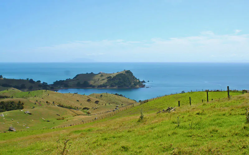 The photographer calls this 'green and blue'