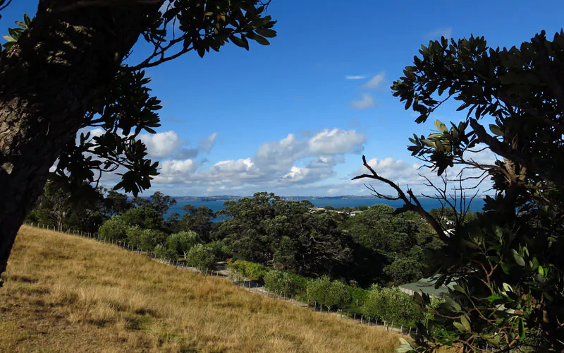 A nicely framed Waiheke Island photo with interesting clouds