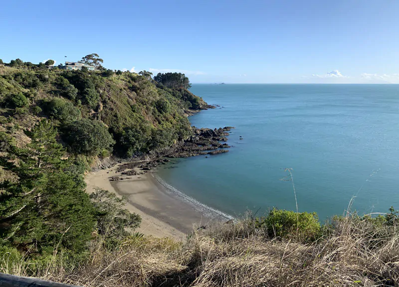 Nature abounds during virus lockdown 1 Little Palm Beach, Waiheke Island