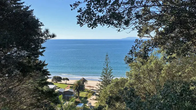 Bush and Beach Walk