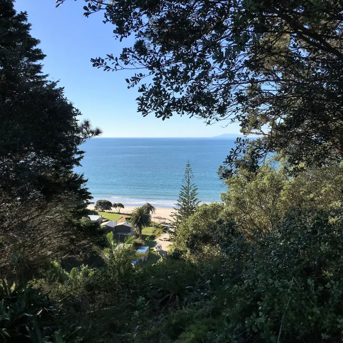 Waiheke Private Guided