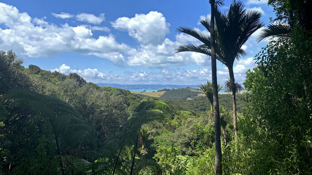 Waiheke Private Freedom Te Ara Hura Walk