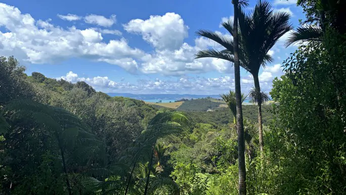 Waiheke Private Freedom Te Ara Hura Walk