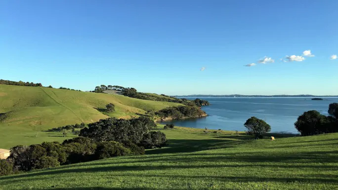 Waiheke coastal scenery