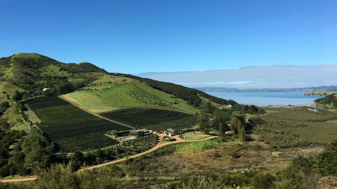 Vineyards & Bush Walk