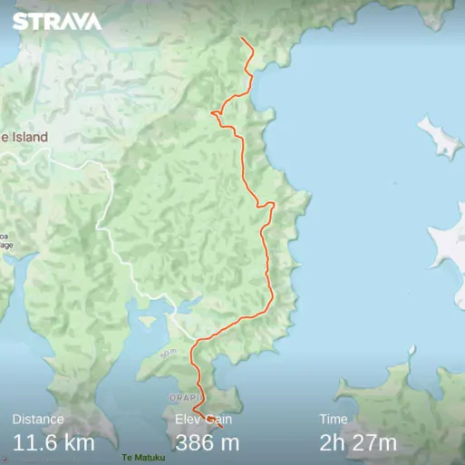 Te Ara Hura Walk