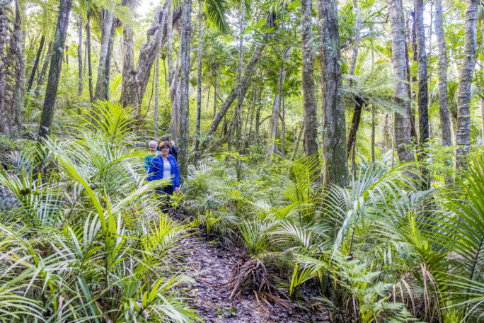 Wellbeing Workshop Includes Forest Therapy
