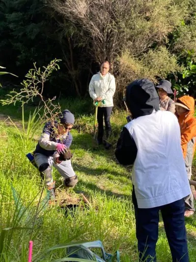 Tree planting group Education NZ 1