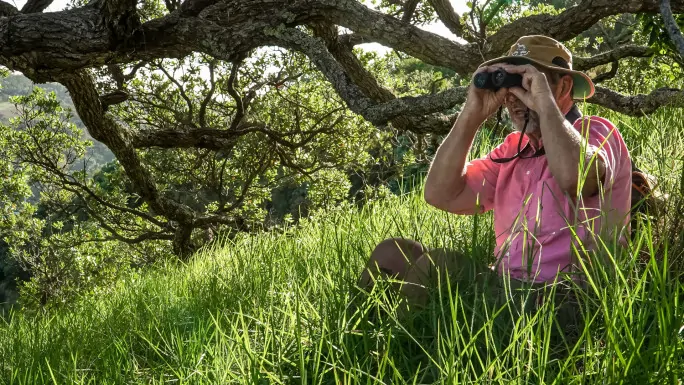 Birding on Waiheke Island