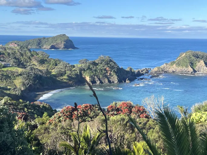 East Coast Northland near Tutukaka