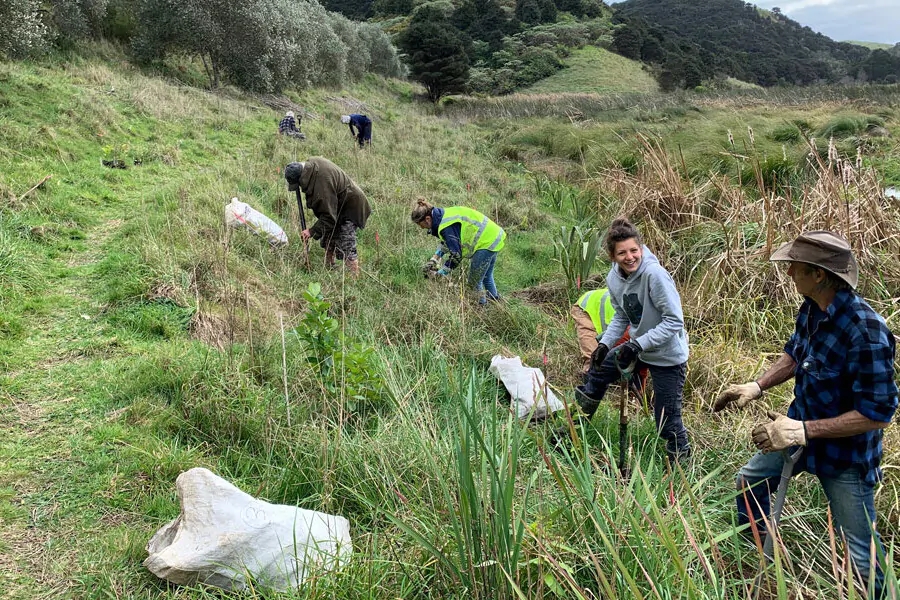 Tree planting at Awaararoa