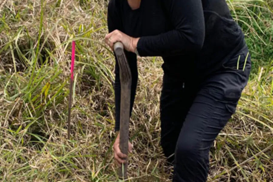 Tree planting at Awaawaroa