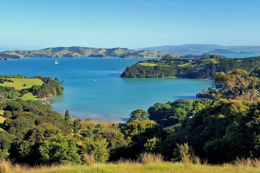 Waiheke Wander Private Group Walk
