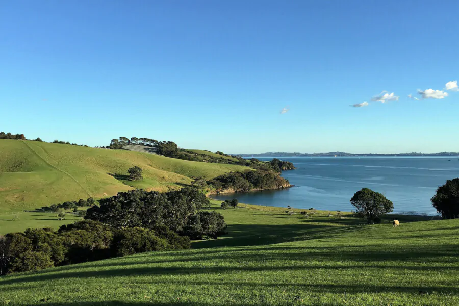 Waiheke coastal scenery