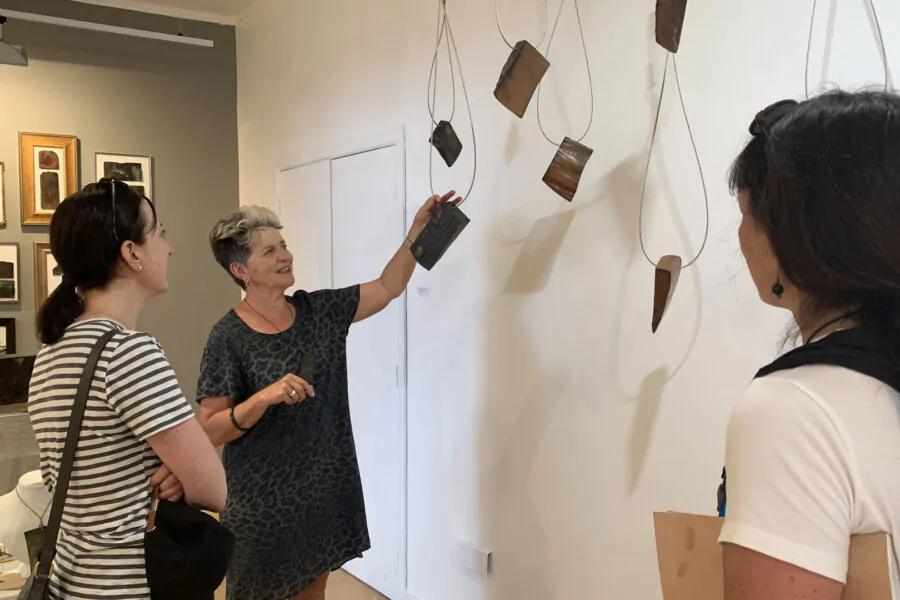 Barbara Robinson, Waiheke Island artist