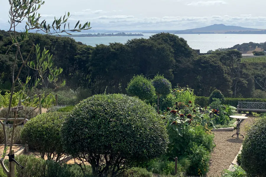 Vineyards & Bush Walk