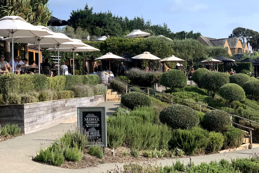 Vineyards & Bush Walk