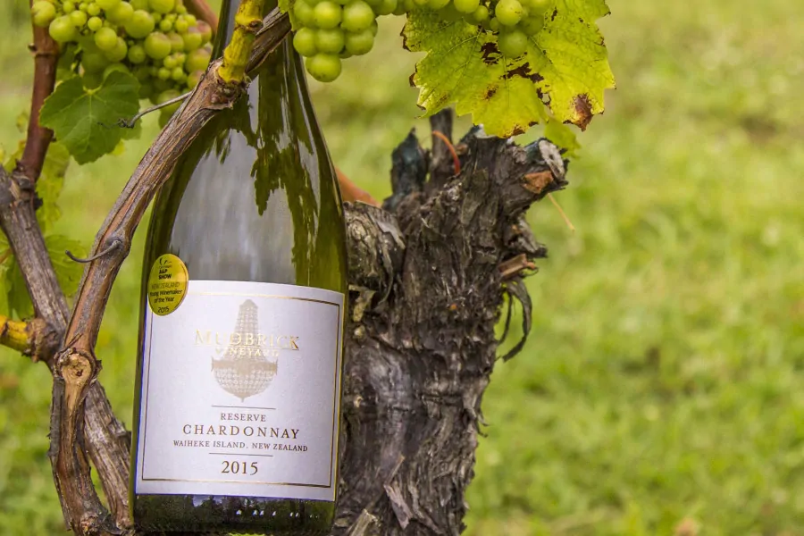 An excellent vintage at Mudbrick Vineyard