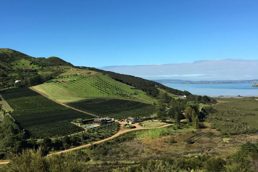 Vineyards & Bush Walk