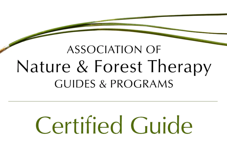 ANFT - Certified Guide
