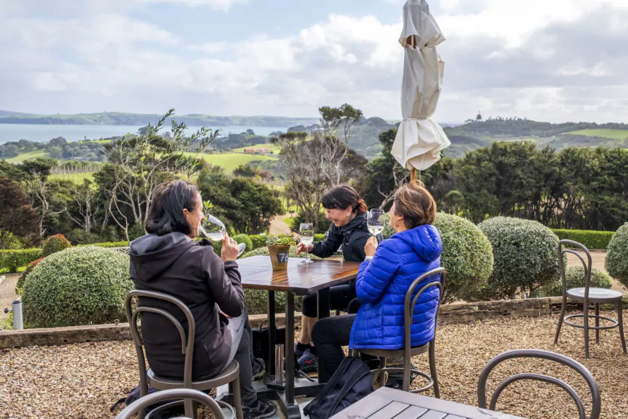 Vineyards & Bush Walk