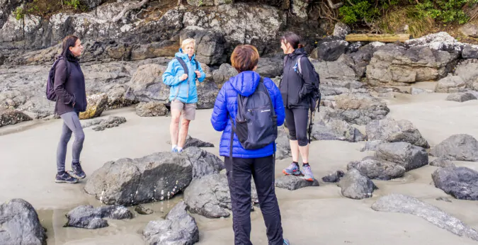 Waiheke guided walk