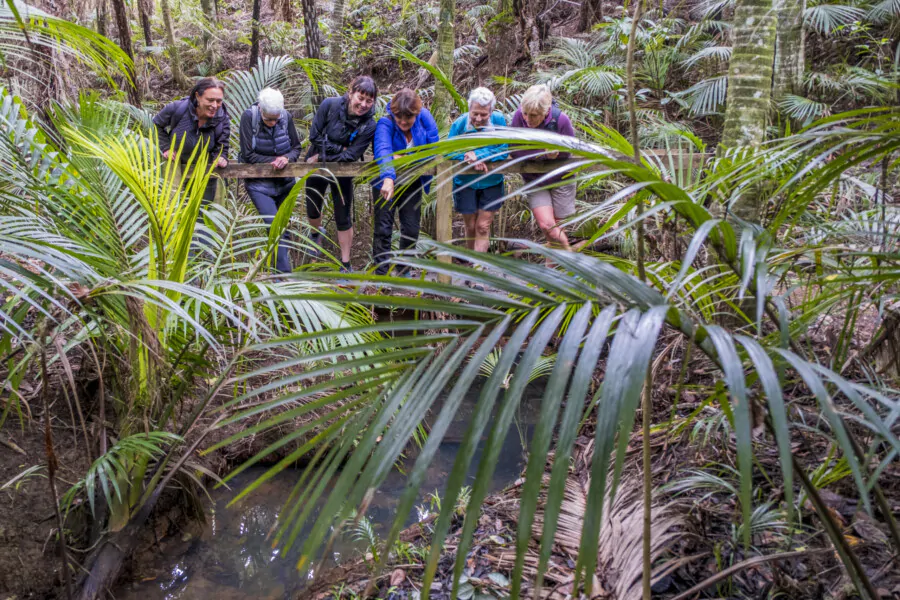 Wellbeing Workshop Includes Forest Therapy