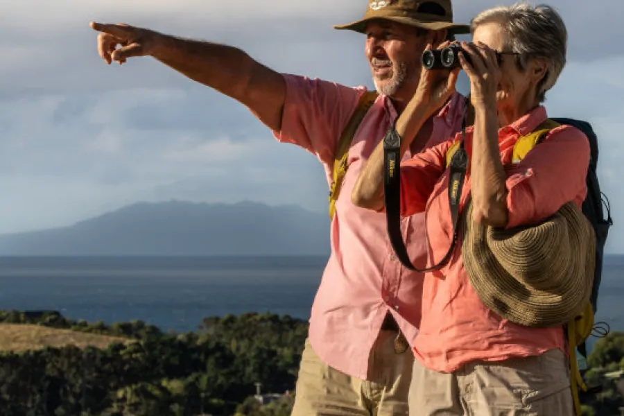 Birdwatching on Waiheke