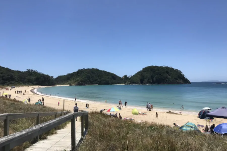 Summers Day, Matapouri Beach, Northland NZ