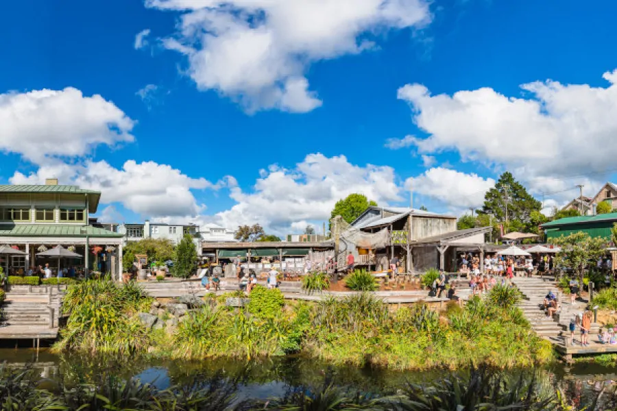 View of Matakana Village from the Matakana River