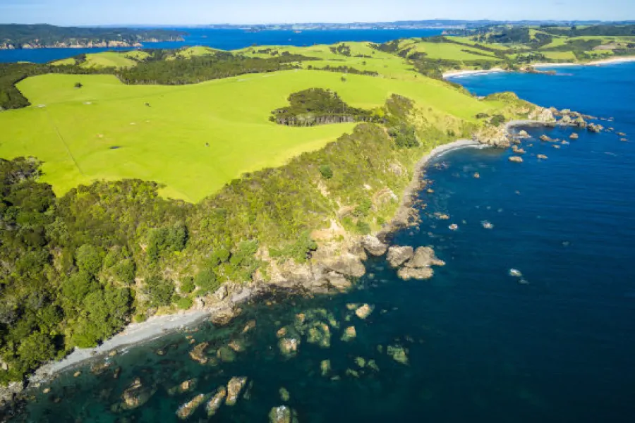Tawharanui Regional Park Matakan NZ
