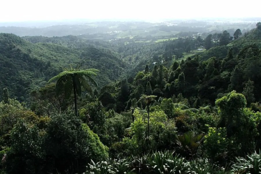 Waitakere Ranges, Auckland New Zealand