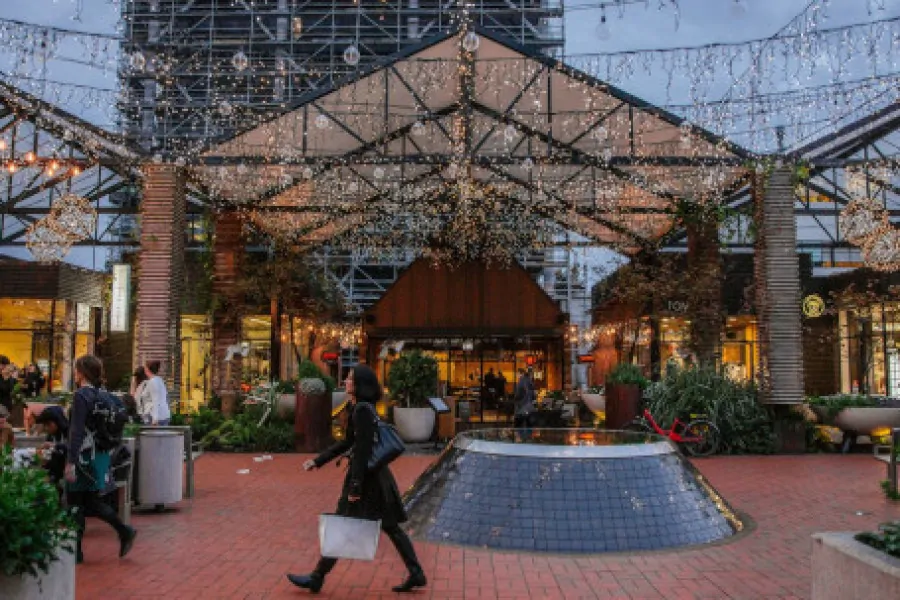 People in Central Auckland New Zealand